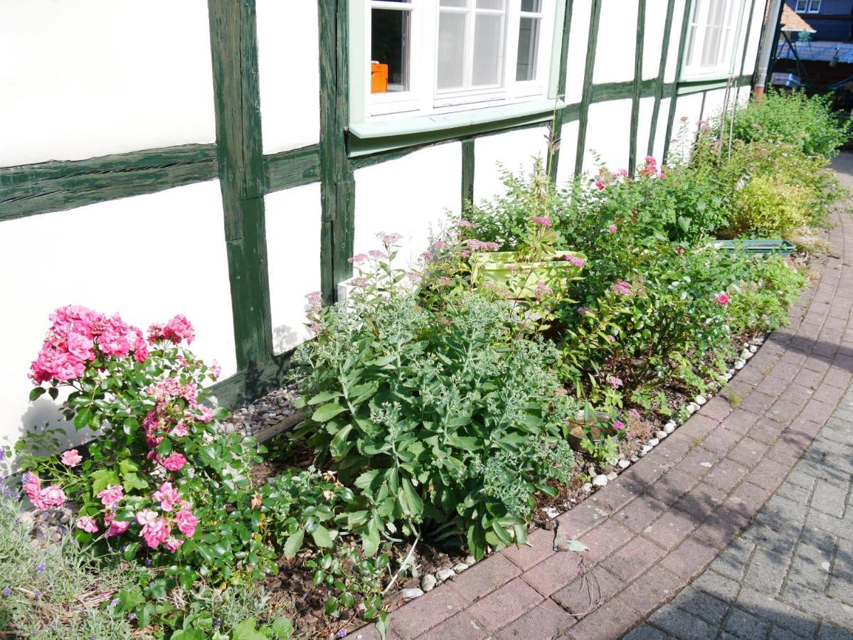 Schloss Goldacker - das Schloss der Gesundheit Weberstedt Exterior foto